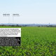 Image for article titled Lush, High-Tech Ecotopias of Today and Tomorrow